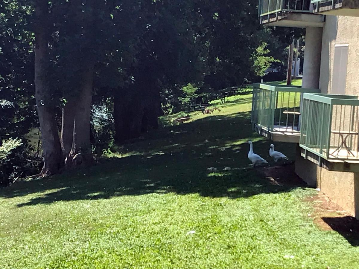 The River Cottage Pigeon Forge Exterior foto